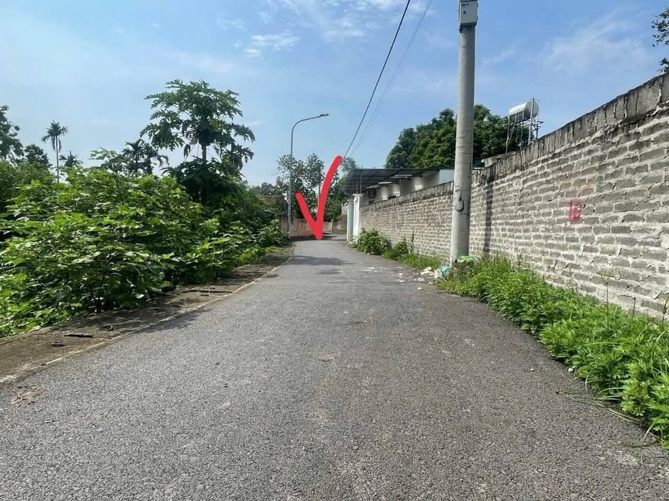 Lô đất đẹp 163m² tại Đồng Sậu, Bình Xuyên - Giá 1.4 tỷ, cơ hội đầu tư sinh lời!