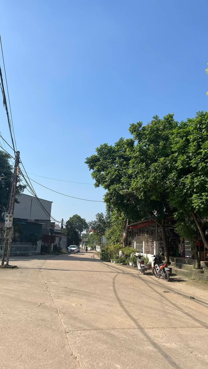 Đất nền kinh doanh Trại Giềng, Tam Dương 94.3m² giá chỉ 1.6 tỷ - Cơ hội đầu tư tuyệt vời!