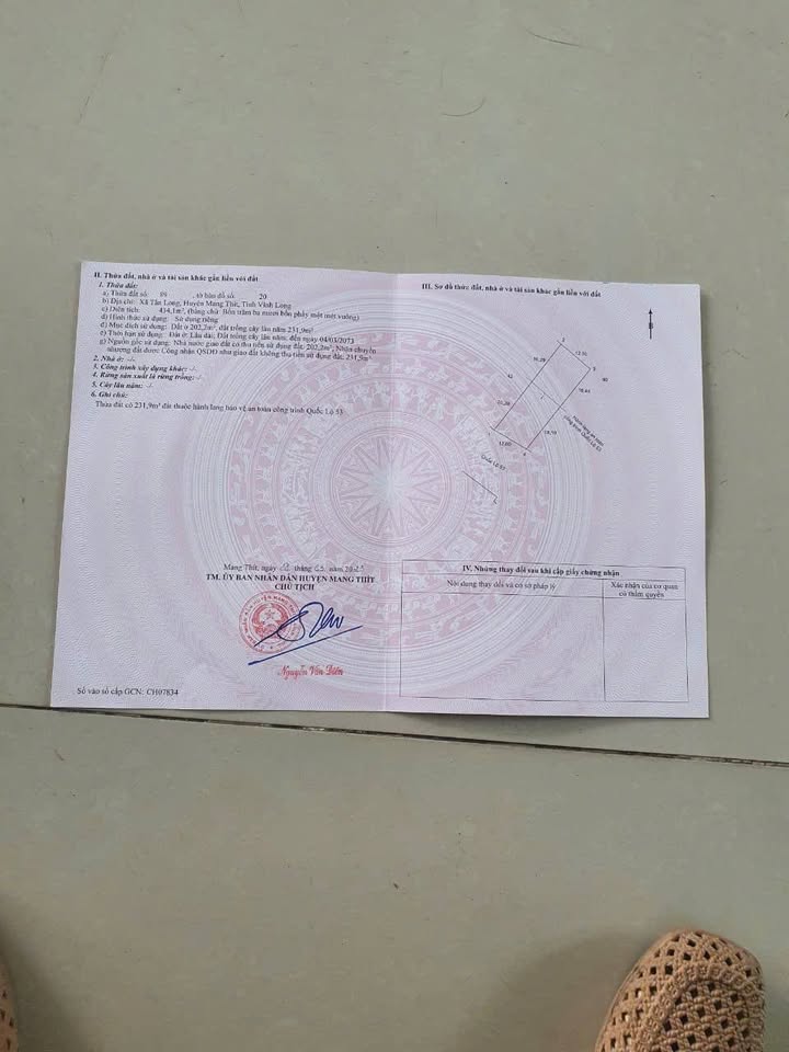 Đất mặt tiền Quốc lộ 53, xã Tân Long Hội, 1934m² giá 4.5 tỷ - Đầu tư sinh lời ngay!