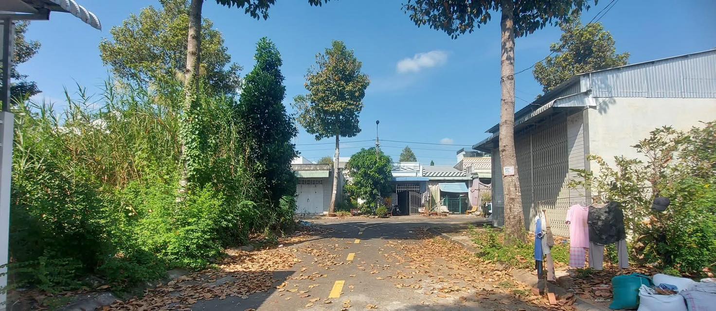 Đất nền Lấp Vò 90m² giá 800 triệu - Vị trí đắc địa gần Trung Tâm Thương Mại!