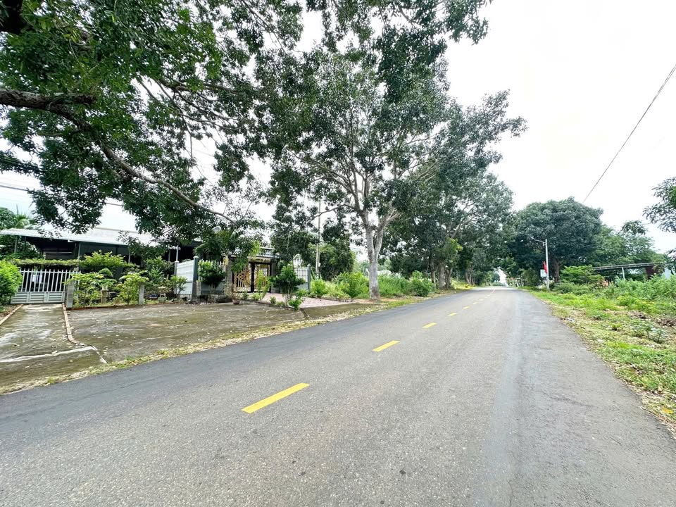 Đất thổ cư 104m² mặt tiền nhựa 5m tại Thiện Nghiệp, Phan Thiết - Pháp lý rõ ràng, giá tốt!