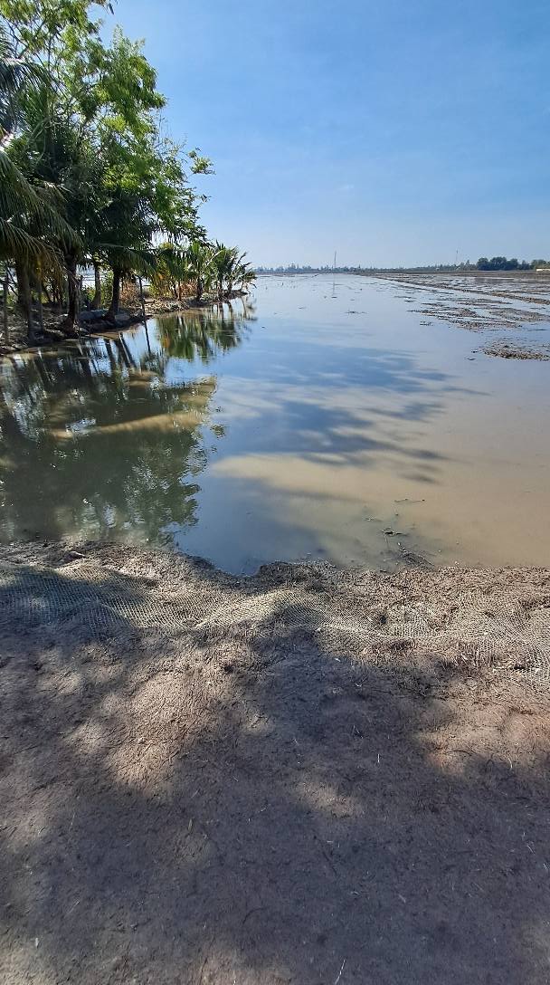 Đất mặt tiền 25m tại Mỹ Phú Đông, Thoại Sơn - Chỉ 250 triệu/công, cơ hội đầu tư hấp dẫn!