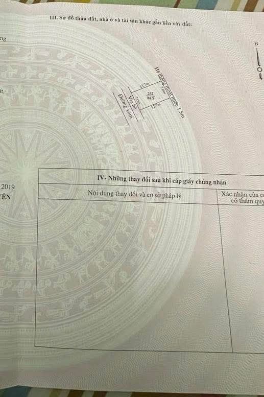 Đất nền Tân Hồng Bình Giang 88m² giá 1 tỷ - Mặt đường ô tô vào tận nơi!