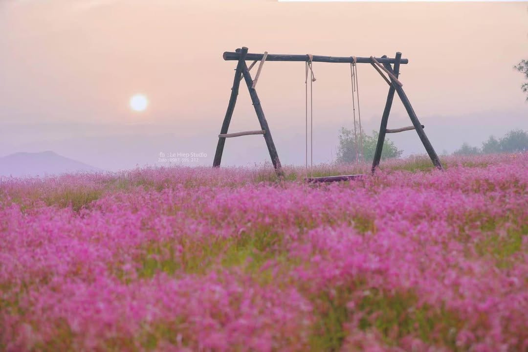 Đất ở Điện Phong 860m² giá chỉ 700 triệu - Cơ hội đầu tư tuyệt vời!