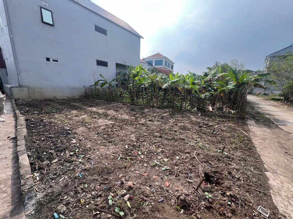 Đất nền thổ cư Tân Tiến, Văn Giang 79m² giá 5x triệu - Cơ hội đầu tư tuyệt vời!