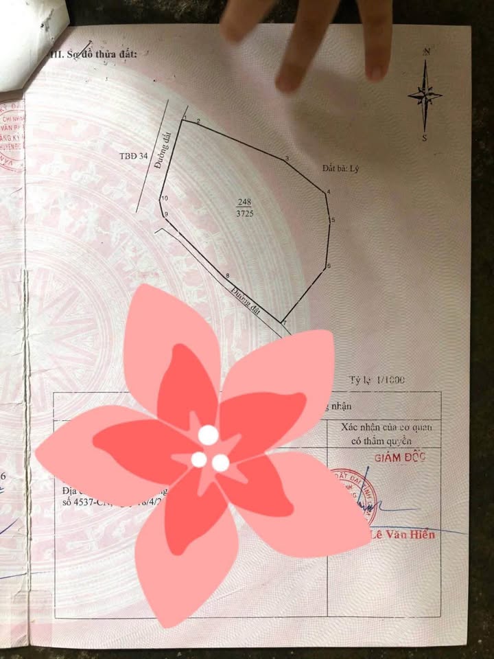 Đất sào Tu Tra Đơn Dương 3725m² giá 2 tỷ - View rừng thông đẹp!