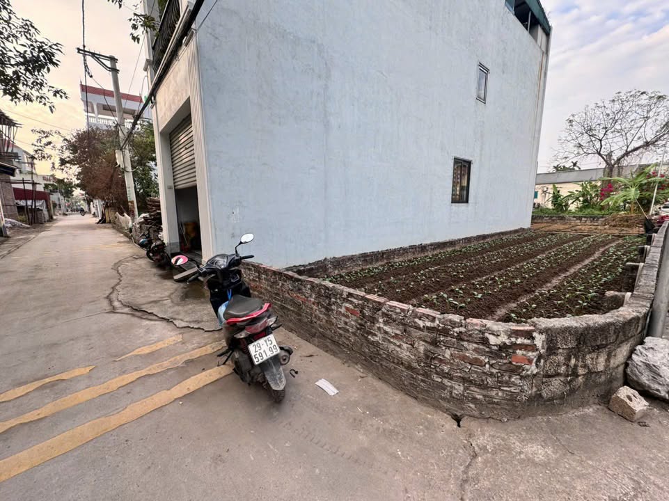 Đất góc kinh doanh Thư Phú, Thường Tín 81m² giá 6.65 tỷ - Cơ hội đầu tư tuyệt vời!