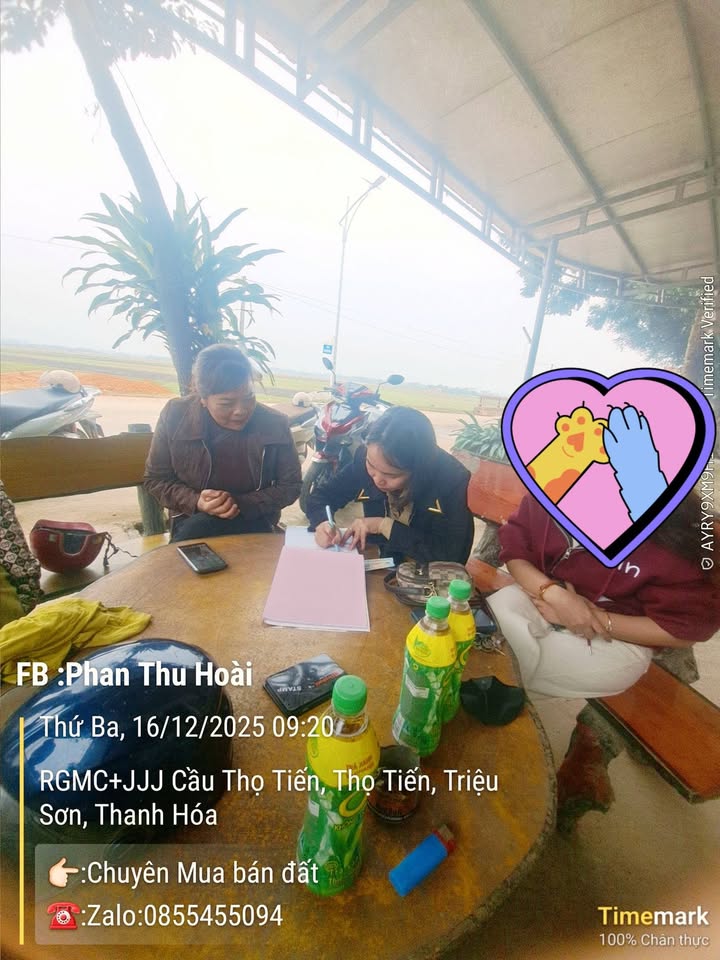 Đất nền dự án đường đôi Sao Mai, Triệu Sơn, 150m² - Cơ hội đầu tư sinh lời cao!