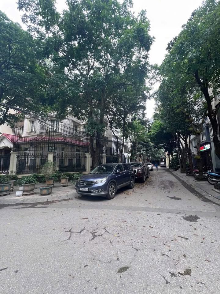 Bán nhà mặt tiền Trần Thái Tông, Cầu Giấy 240m² giá 100 tỷ - Vị trí đắc địa cho đầu tư hiệu suất cao!