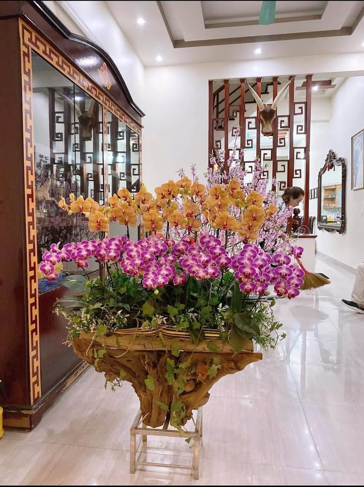 FrontHouse Nguyễn Văn Trỗi 67m² giá 8 tỷ - Điểm kinh doanh lý tưởng!