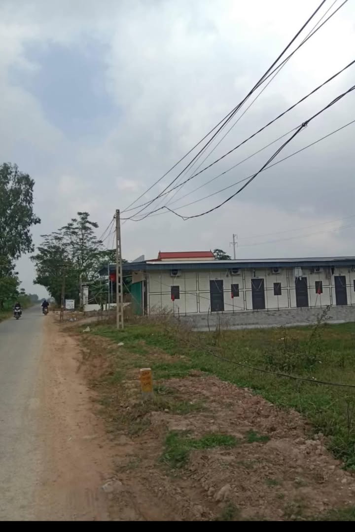 Đất mặt tiền sông Cầu Mái tại Mỹ Thuận 120m² - Vị trí đắc địa, kinh doanh thuận lợi!