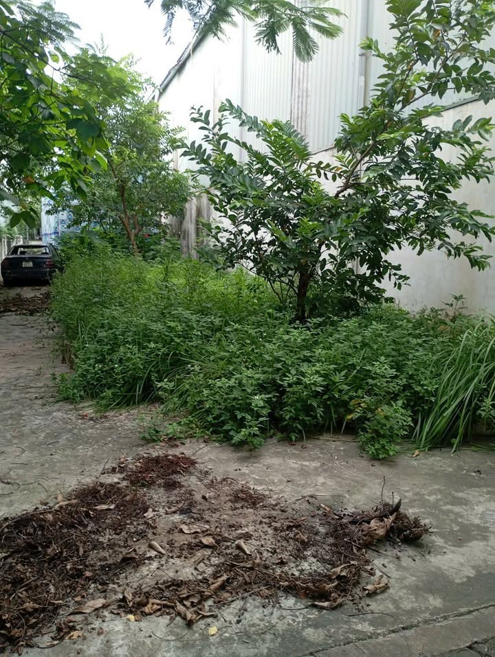 Đất nền Tả Thanh Oai 83m² giá 5.5 tỷ - Sổ đỏ chính chủ, pháp lý rõ ràng!