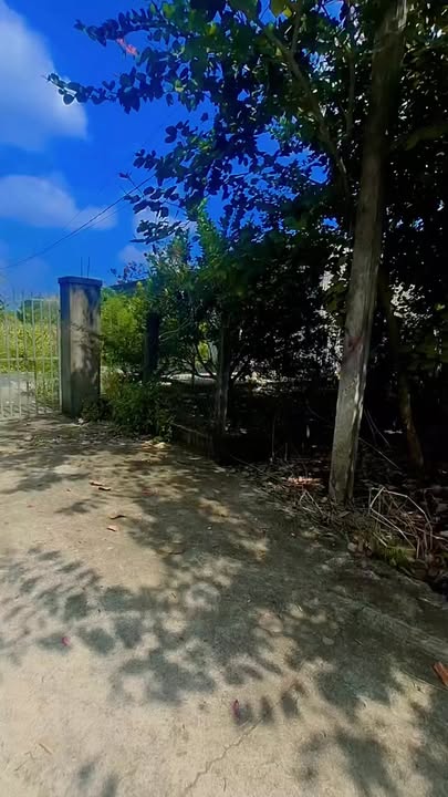 Đất nền Bảo Vinh Long Khánh 9000m² giá 800 triệu - Sổ riêng, thương lượng