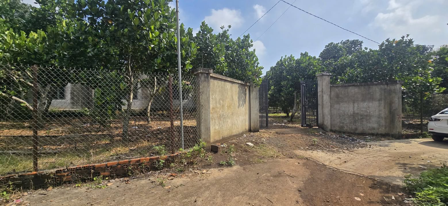 Đất nền Bảo Vinh, Long Khánh 3000m² giá chỉ 3 tỷ - Lô góc đẹp, sổ hồng riêng!