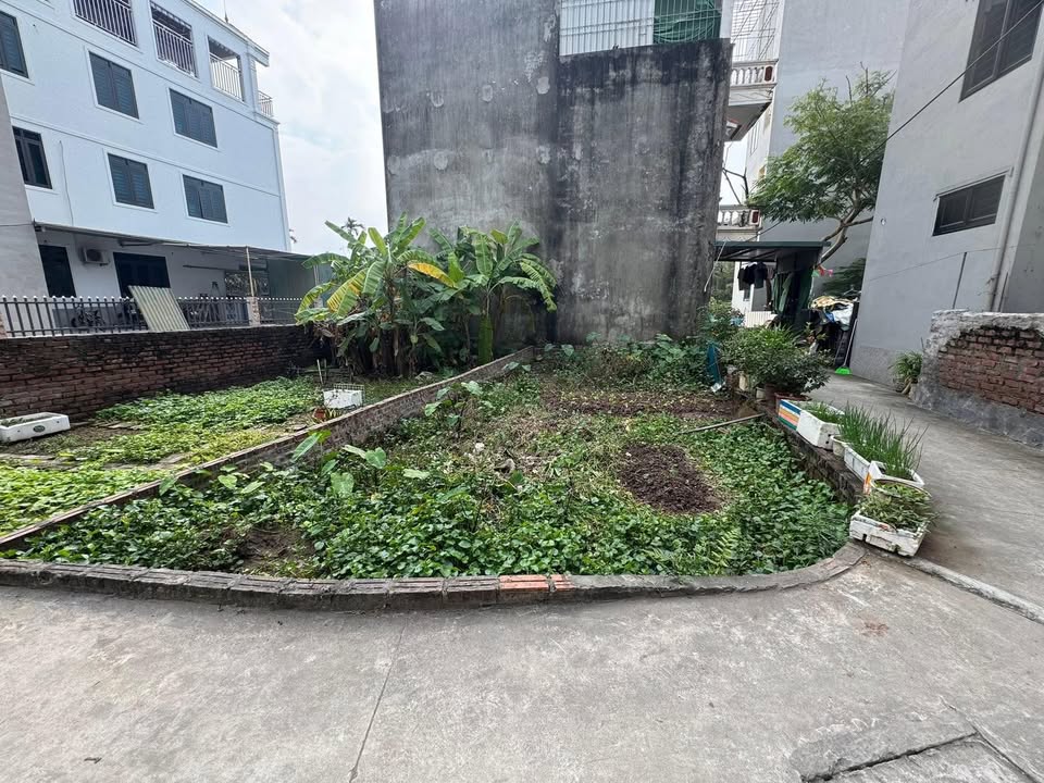 Đất lô góc Kim Chung, Hoài Đức 48m² giá 5 tỷ - Sổ đỏ chính chủ