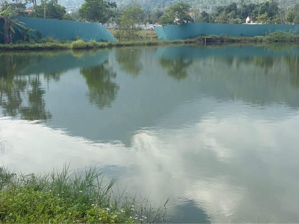 Đất nền Vân Hòa Ba Vì 2.000m² giá 10 tỷ - Sổ đỏ chính chủ, bám hồ tuyệt đẹp!