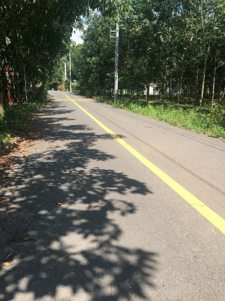 Đất nền Chánh Phú Hòa, Bến Cát 110m² giá 1 tỷ - Đầu tư sinh lời ngay!