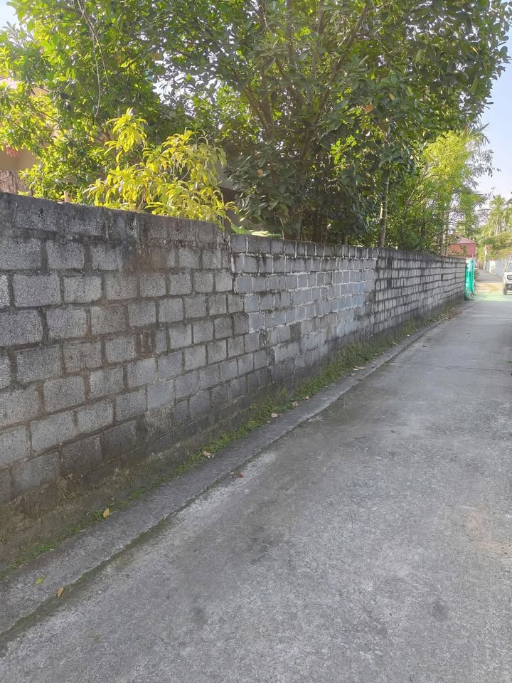 Đất nền Thụy Văn Thái Thụy 110m² giá chỉ vài trăm triệu - Đầu tư sinh lời ngay!