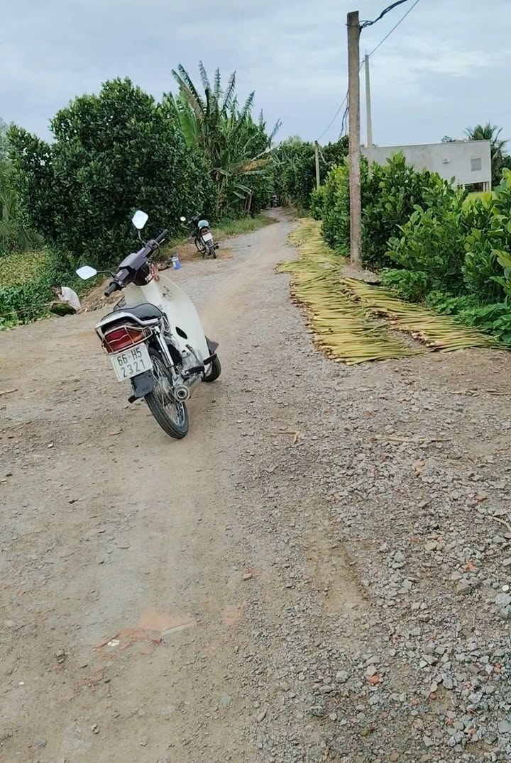 Đất lúa 14.000m² tại phường Mỹ Ngãi, Cao Lãnh - Đầu tư sinh lời hấp dẫn!