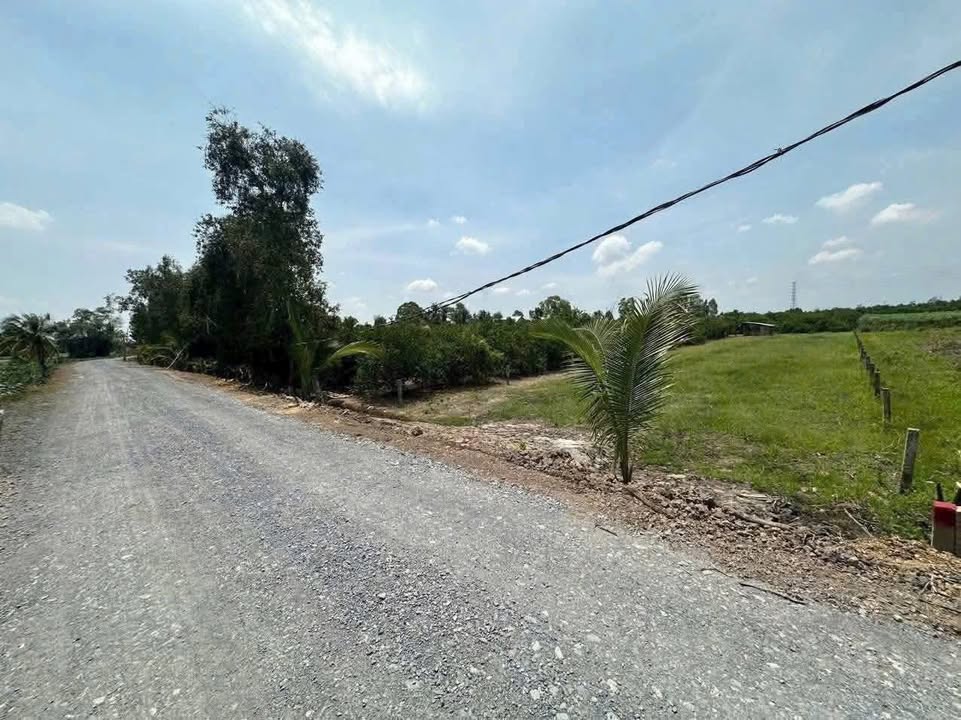 Đất vườn mặt tiền Kênh Kháng Chiến 550m² giá 750 triệu - Cơ hội đầu tư hấp dẫn!