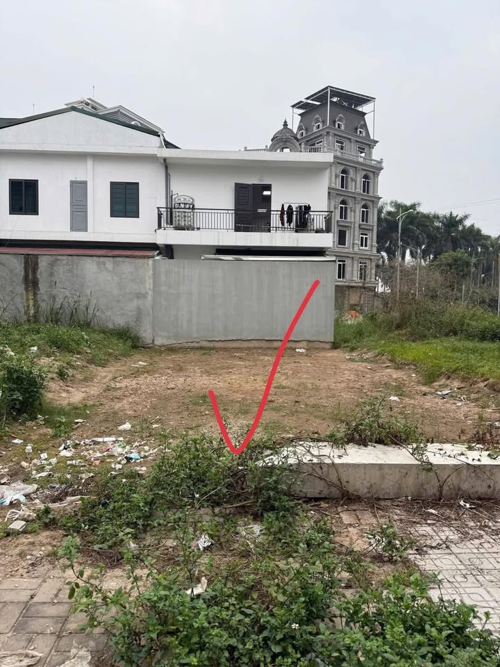 Đất nền Ninh Hiệp, Gia Lâm 120m² giá 23 tỷ - Sổ đỏ chính chủ, mặt tiền 7,5m!