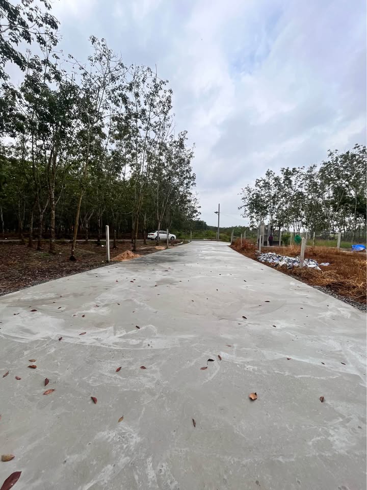 Đất mặt tiền đường bê tông ấp Cây Da, Gò Dầu - Giá chỉ từ 370 triệu