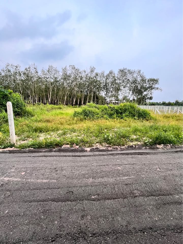 Đất thổ cư 357m² tại ấp Cây Da, Gò Dầu, Tây Ninh - Giá chỉ 680 triệu, sổ hồng riêng!