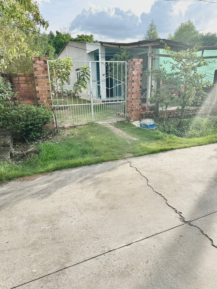 Nhà mặt tiền đường bê tông phường Thanh Điền, Tây Ninh 459m² giá 1.4 tỷ - Cơ hội đầu tư tuyệt vời!