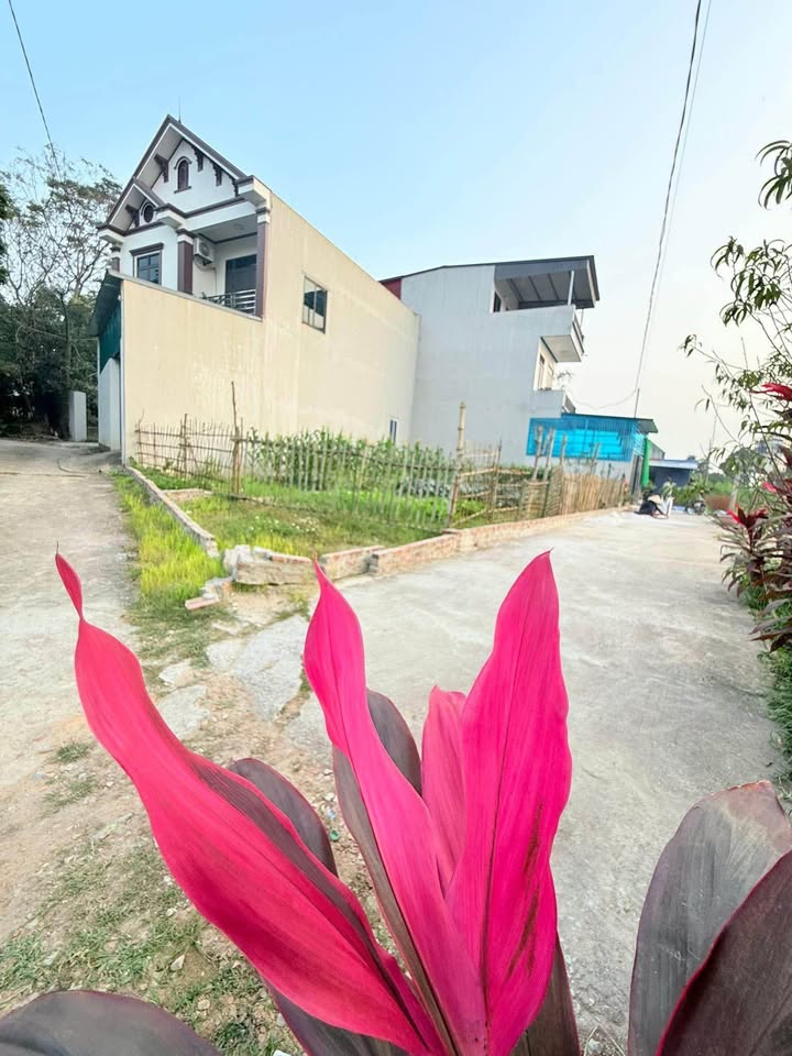 Đất nền góc tại Phố Yên 90m² giá 800 triệu - Cơ hội đầu tư hiếm có!