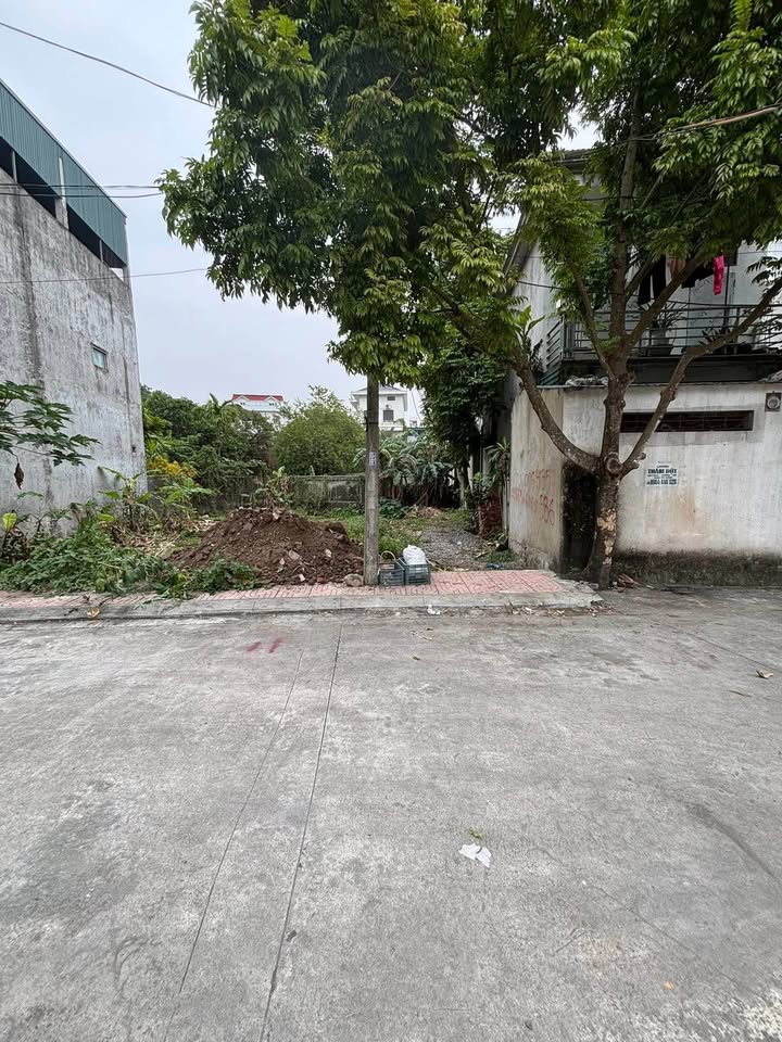 Đất nền Ninh Mỹ 59m² giá chỉ 1xx triệu - Sinh lời ngay!