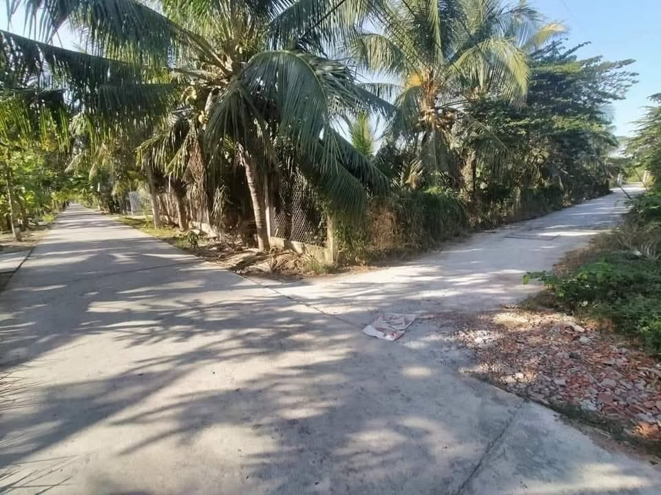 Đất nền góc 2 mặt tiền xã Phú Nhuận, Bến Tre 120m² giá chỉ 530 triệu - Cơ hội đầu tư tuyệt vời!