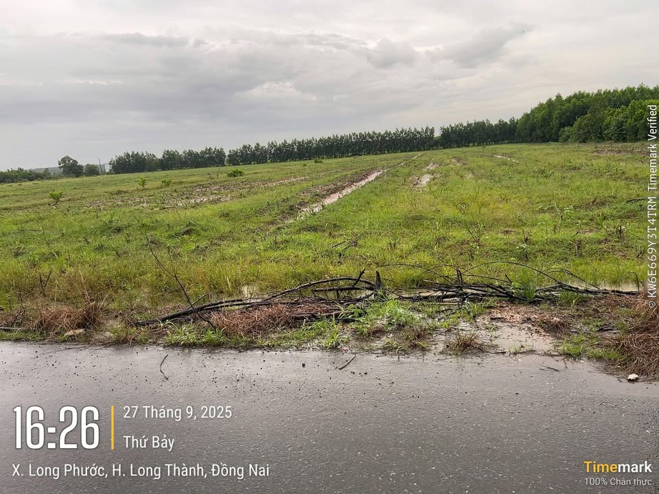 Đất nền 3,6ha tại Long Phước, Long Thành - Giá chỉ 120 tỷ, cơ hội đầu tư tuyệt vời!