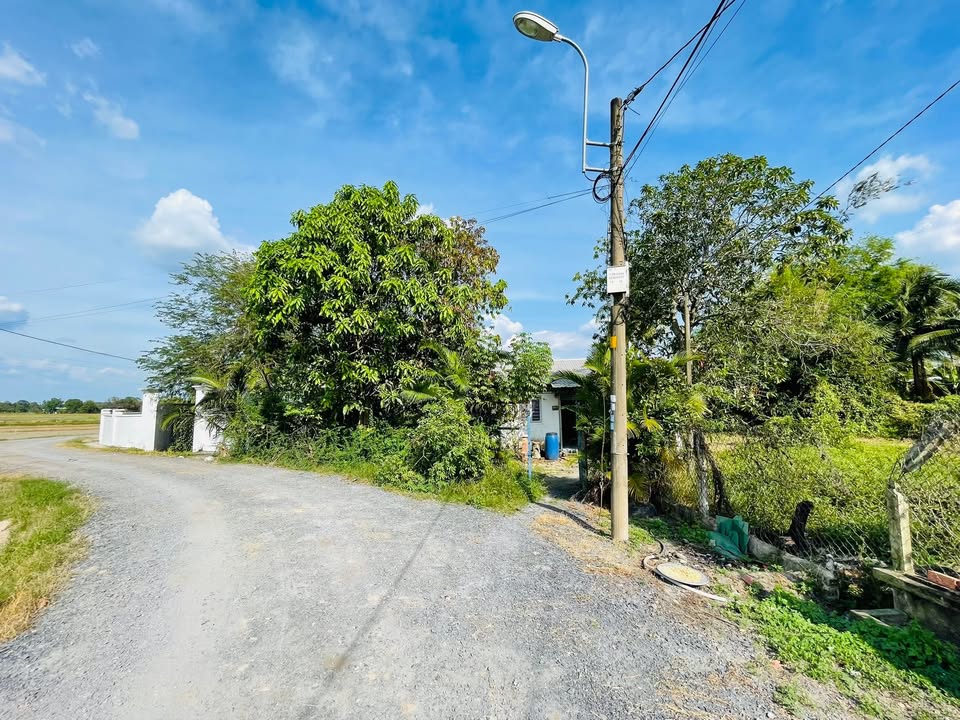 Đất nền chính chủ tại Trung Lập Thượng, Củ Chi 1741m² giá chỉ 4 tỷ - Đường trải đá 6m