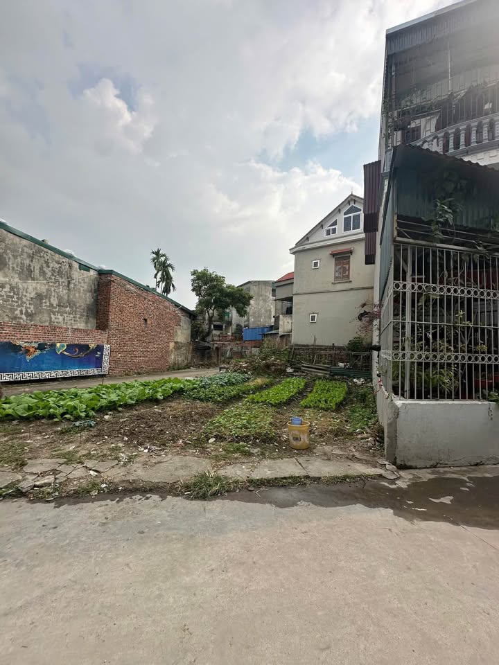 Đất nền góc 131,3m² tại Mạo Khê, Quảng Ninh - Giá chỉ 2 tỷ, đầu tư sinh lời!