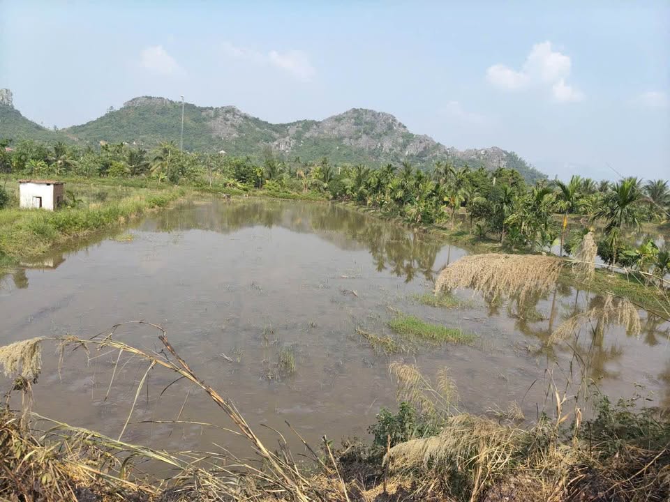 Đất nông nghiệp Yên Đức 2200m² giá 400 triệu - Đầu tư sinh lời ổn định!