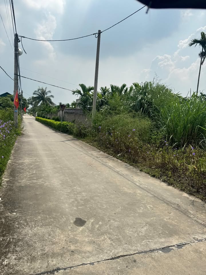 Đất nền Hồng Thái Đông 208m² giá chỉ 1 tỷ - Đầu tư sinh lời ngay!