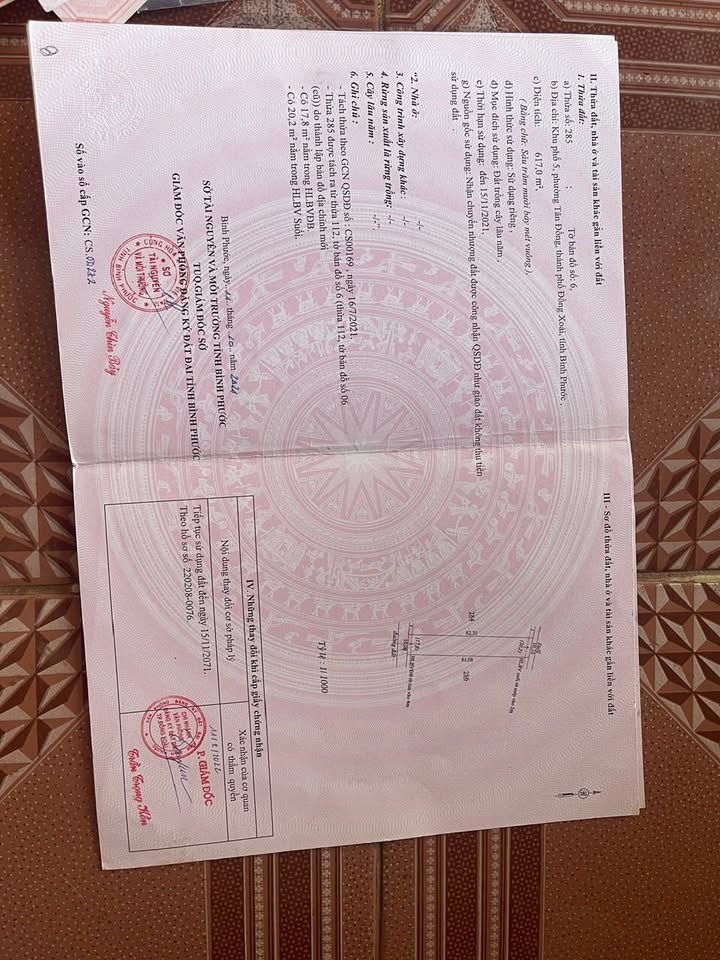 Đất xào khu phố 5 Tân Đồng 600m² giá 1 tỷ - Cơ hội đầu tư hấp dẫn!