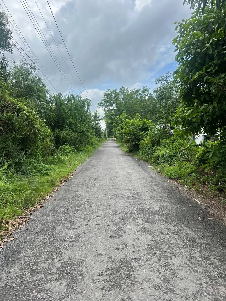 Đất nền khu phố Long Yên, Hòa Thành, Tây Ninh 1580m² - Mặt tiền nhựa 10m, giá chỉ 2.2 tỷ!