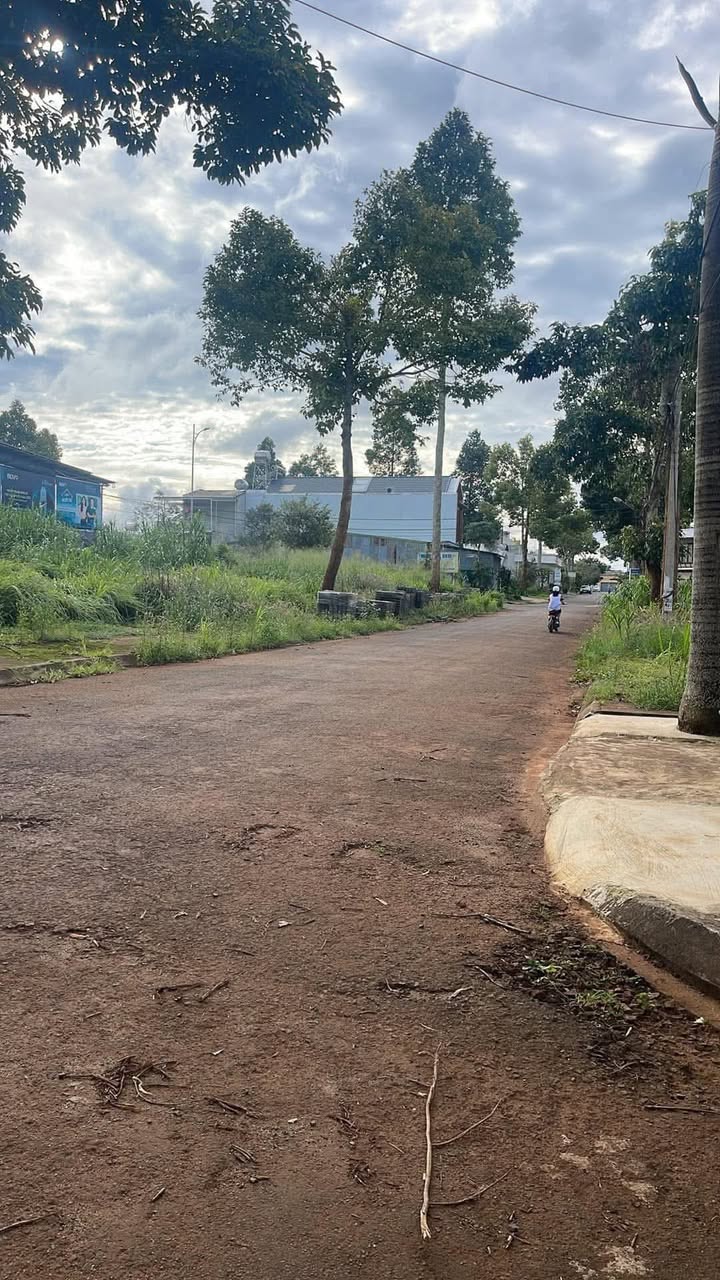 Đất thổ cư 135m² đường Minh Sơn, An Lạc, Buôn Hồ - Giá chỉ 1.25 tỷ!