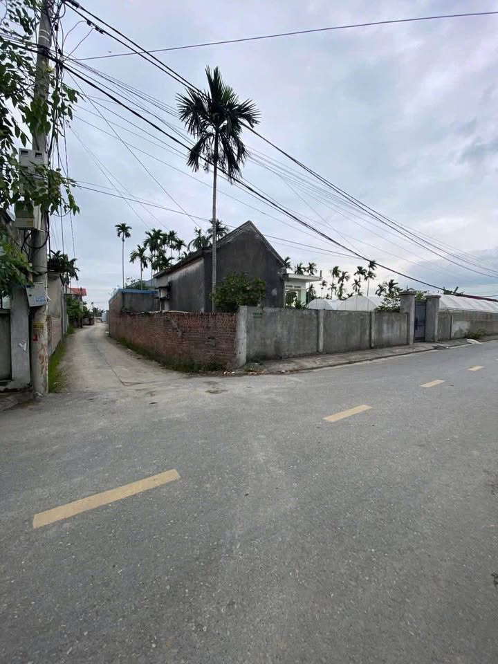 Đất nền Hồng Thái, An Dương 48m² giá chỉ 900 triệu - Sổ đỏ chính chủ!