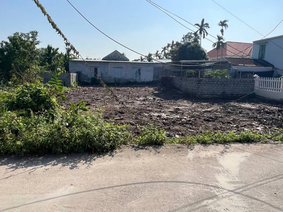 Đất nền phân lô 320m² tại Quyết Tiến, Tiên Lãng - Đầu tư sinh lời ngay!