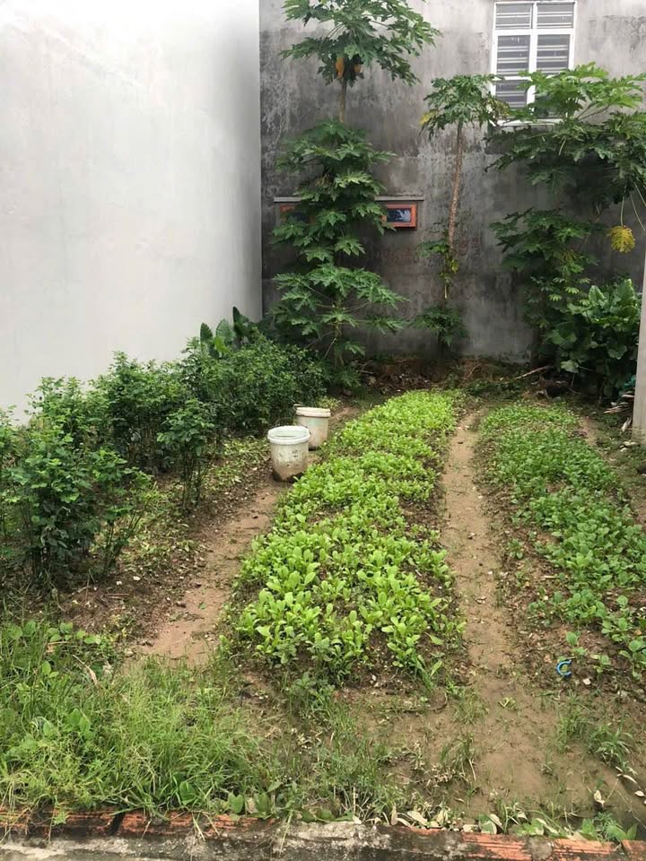 Đất Cống Mỹ, Nam Sơn, An Dương 50m² giá thỏa thuận - Ô tô vào tận nơi!