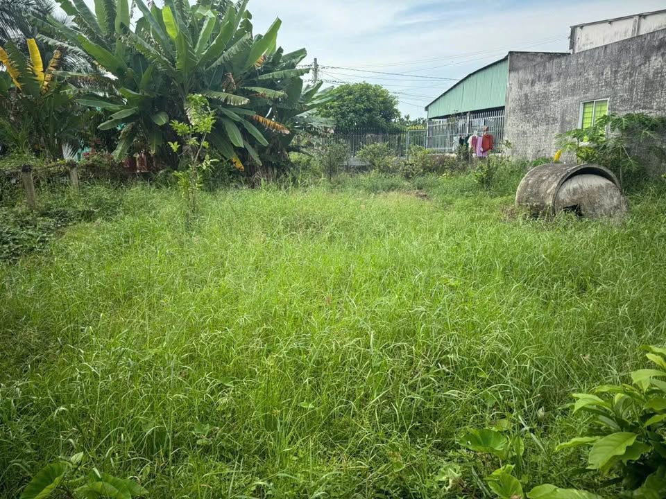 Đất nền An Vĩnh Ngãi Tân An 157.5m² giá 850 triệu - Đường ô tô vào tận nơi!