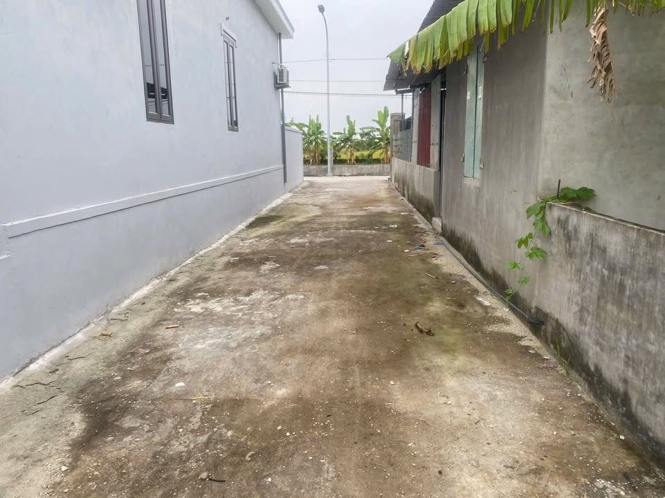 Đất nền Quang Hưng An Lão 61,4m² giá mềm - Cơ hội đầu tư tuyệt vời!