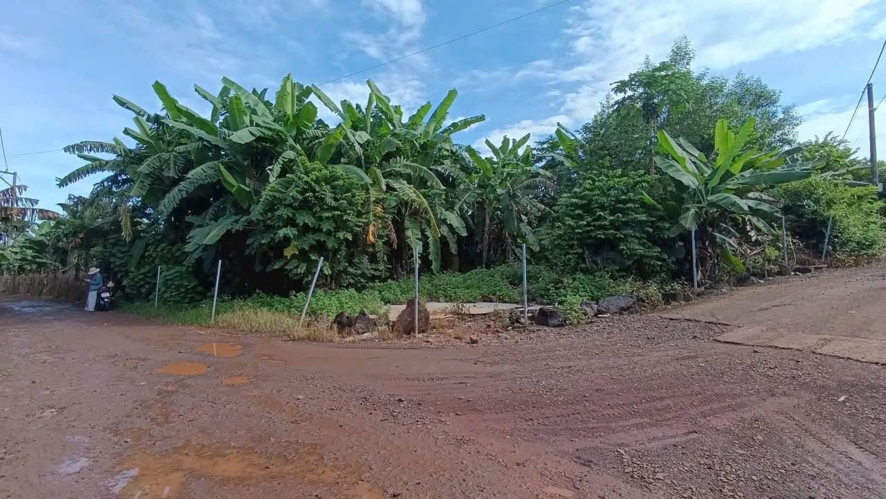 Đất nền 666m² xã Sông Thao, Trảng Bom - Sổ hồng riêng, giá 900 triệu