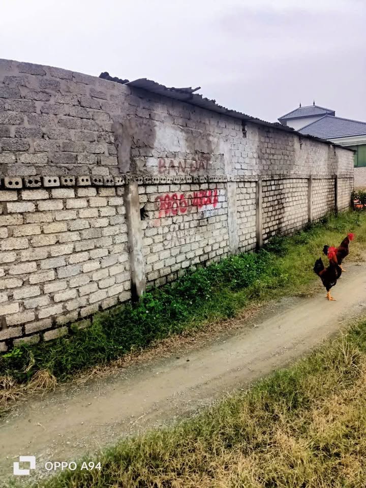 Đất nền Nghi Phong 172m² giá thỏa thuận - Cơ hội đầu tư hấp dẫn!