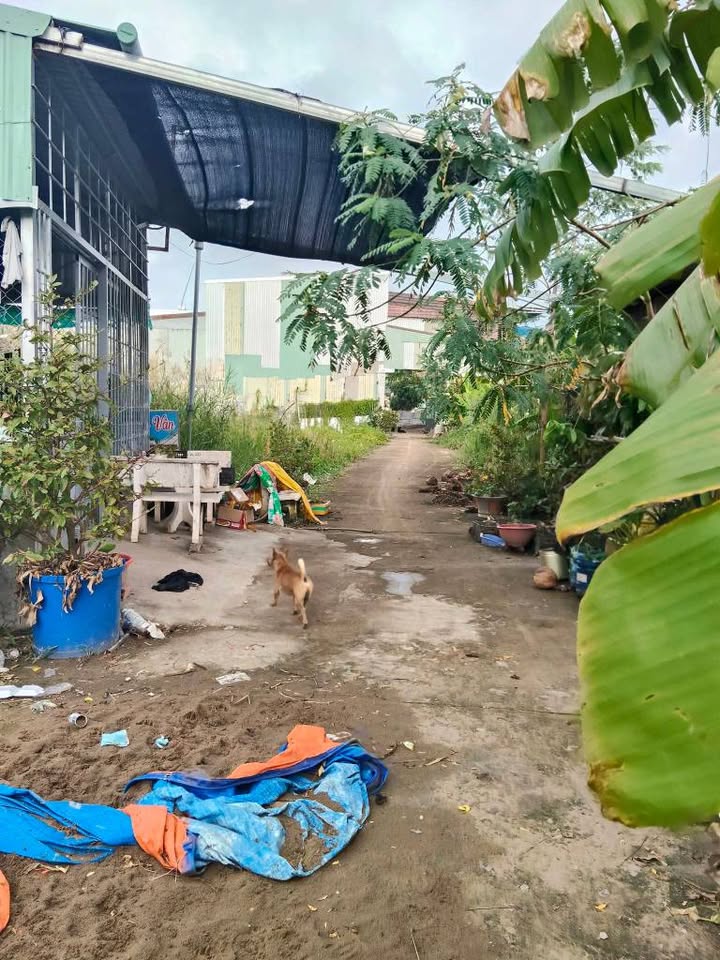 Đất nền Thạnh Lộc Châu Thành 165m² giá 500 triệu - Cơ hội đầu tư không thể bỏ qua!