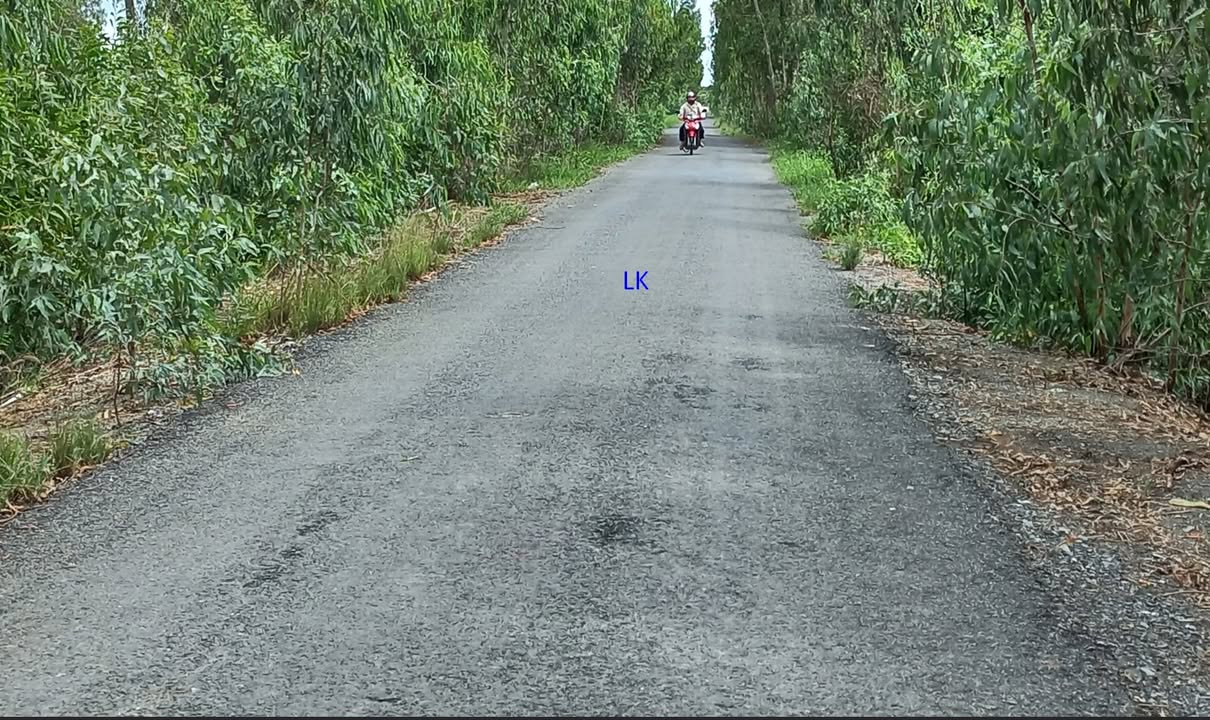 Đất lúa 42.000m² tại xã Phú Hiệp, Tam Nông - Giá chỉ 7.14 tỷ VND, đầu tư sinh lời!