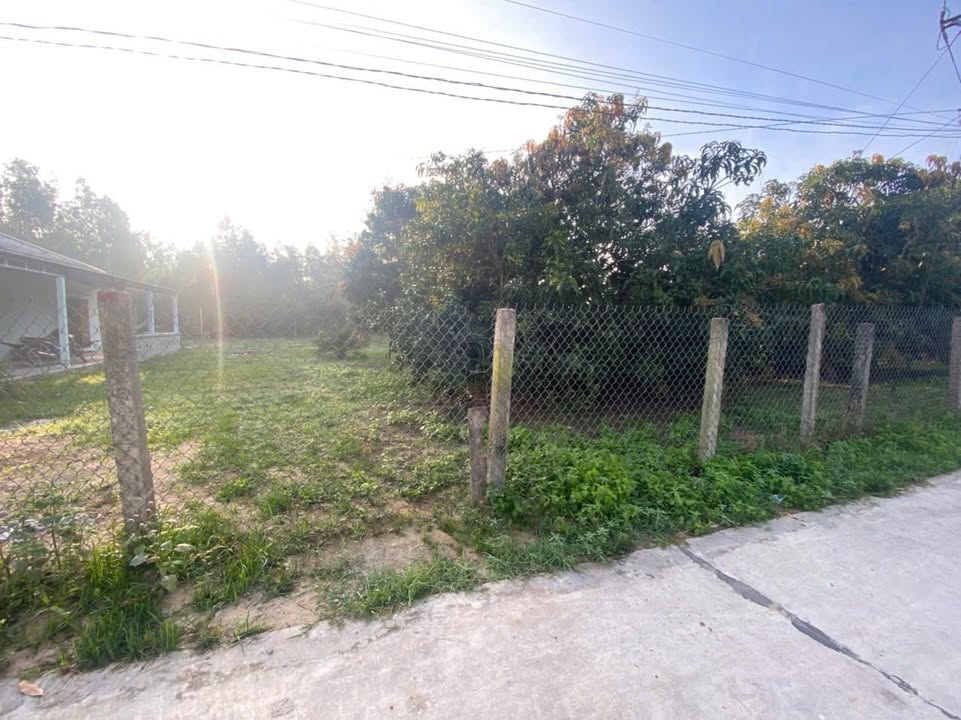 Đất Ninh Phụng 300m² giá 700 triệu - Sổ đỏ chính chủ, bớt lộc cho khách thiện chí!