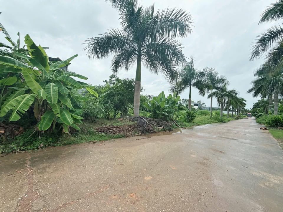 Đất nền Tiên Kiên - Lâm Thao 171m² giá 1.xx tỷ - Vị trí đắc địa, giao thông thuận lợi!